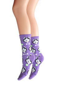 Give a dog a born socks